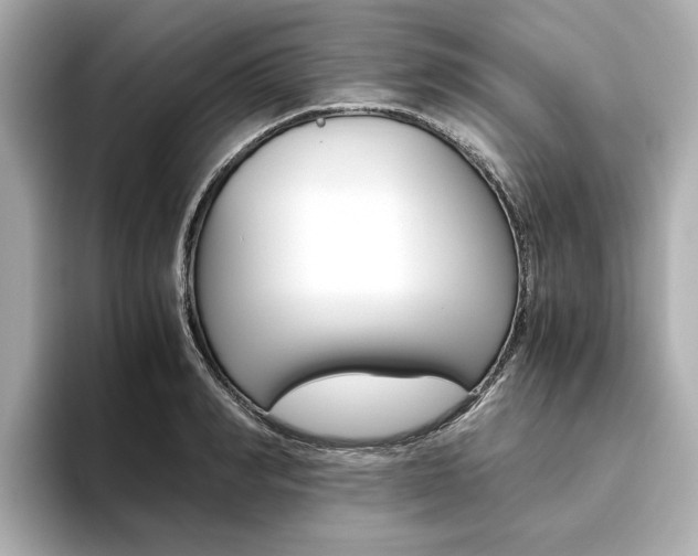 X0000093610990200710151013