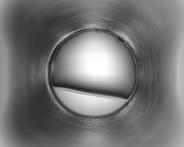 X0000093610991200710151013