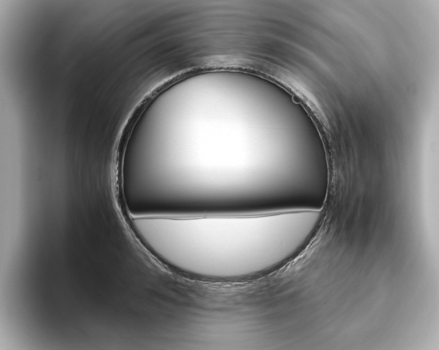 X0000093610992200710151013
