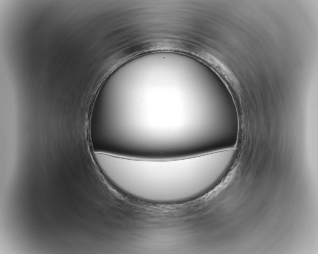 X0000093610993200710151013