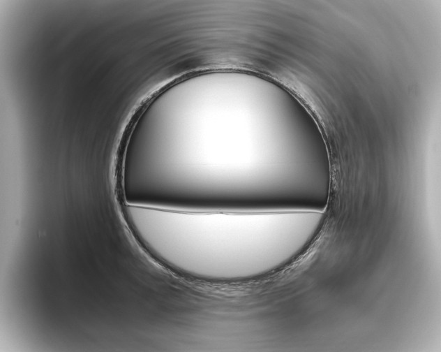 X0000093610995200710151013