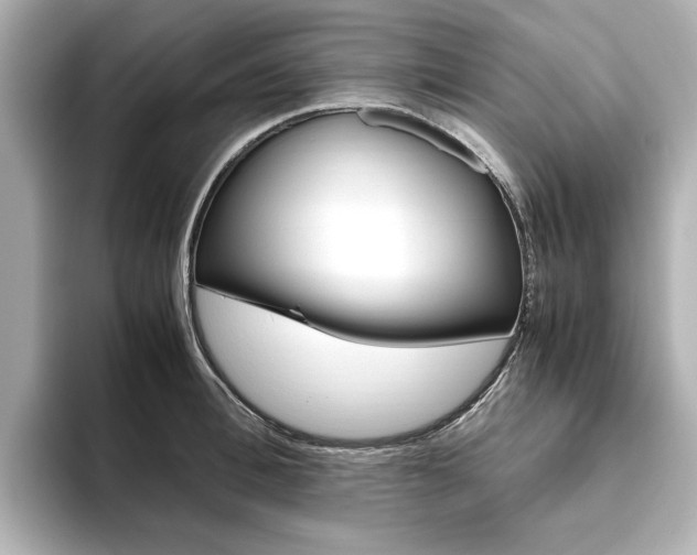 X0000093610996200710151013