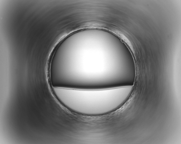 X0000093610997200710151013