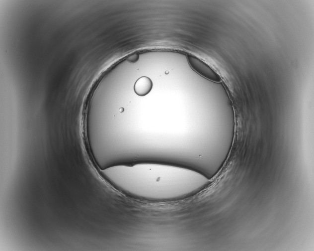 X0000093610998200710151013