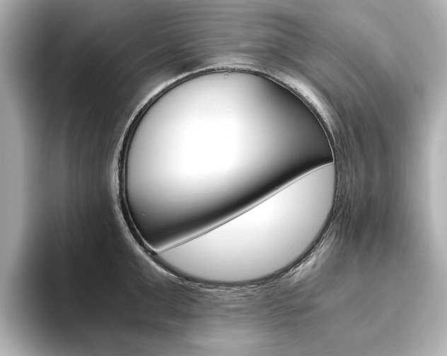 X0000093610999200710151013