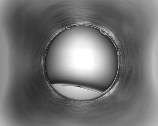 X0000093611001200710151012