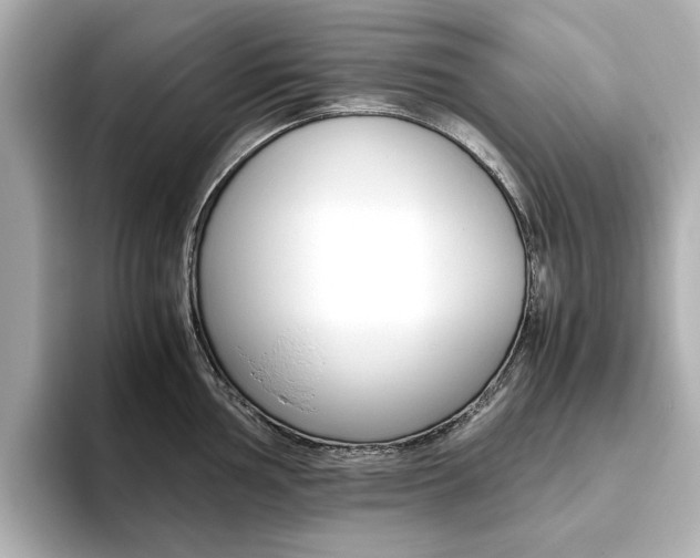 X0000093611002200710151012