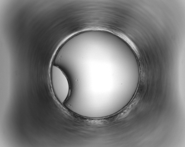X0000093611004200710151012