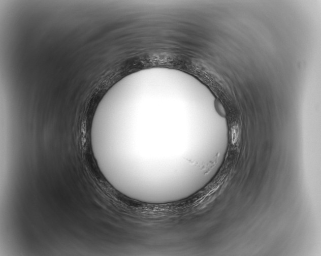 X0000093611011200710151012