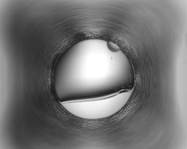 X0000093611012200710151012