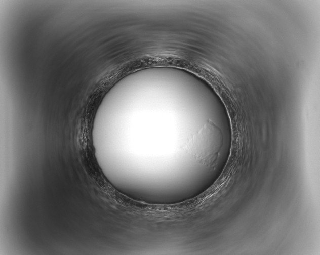 X0000093611014200710151012