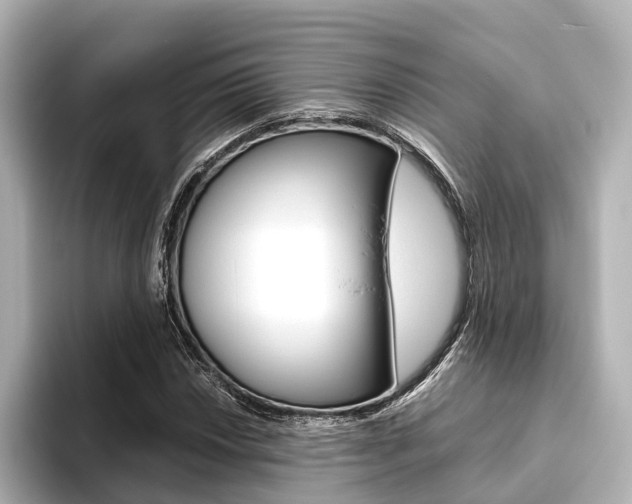 X0000093611018200710151012