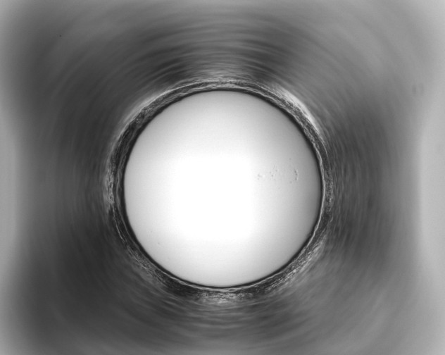 X0000093611019200710151012