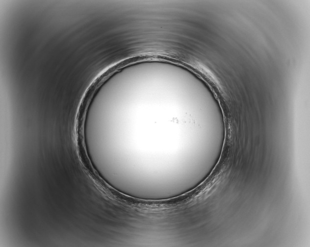 X0000093611020200710151012