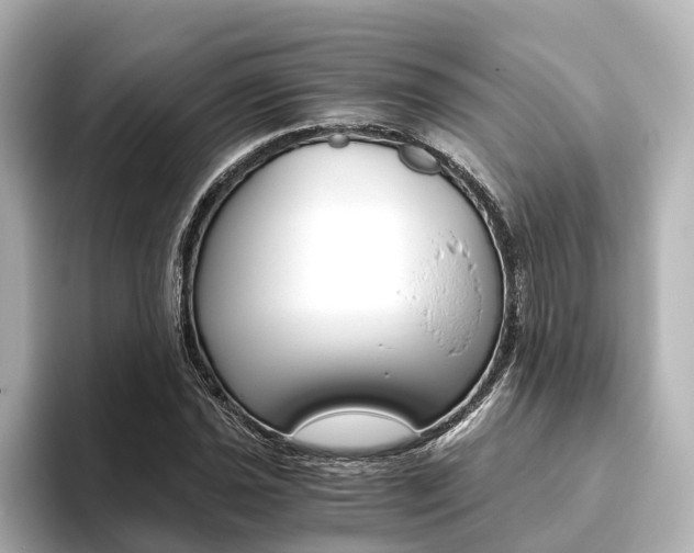 X0000093611021200710151012
