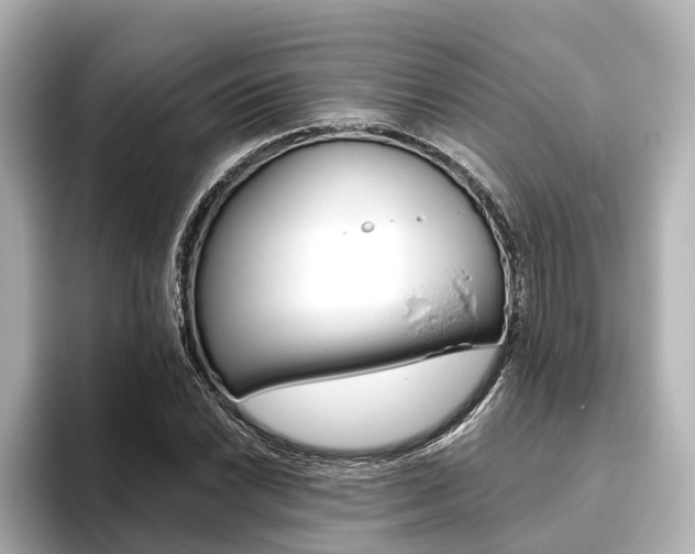 X0000093611022200710151012
