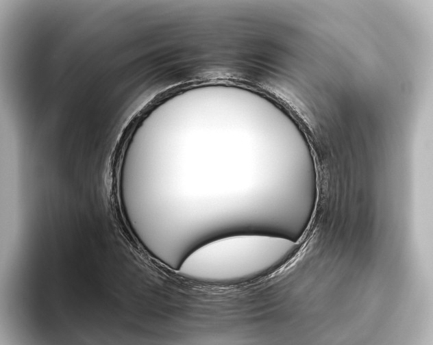 X0000093611023200710151012