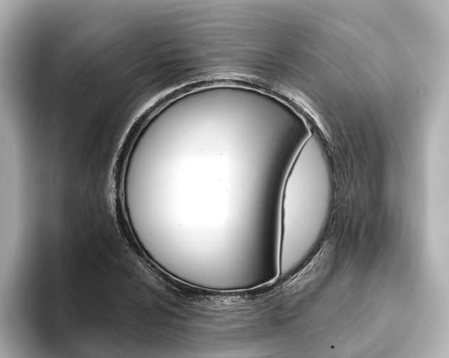 X0000093611024200710151012