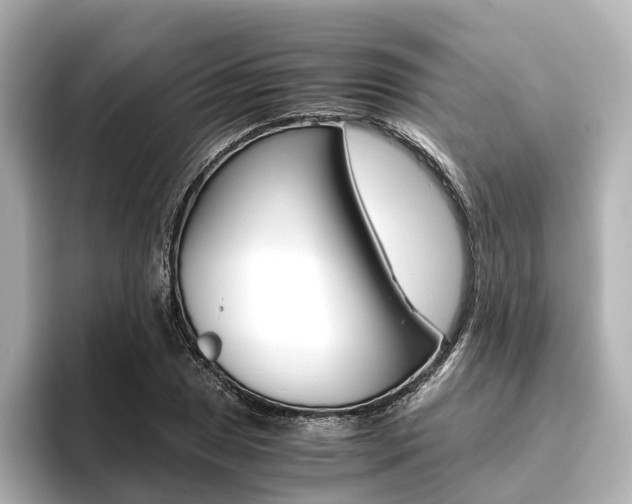X0000093611025200710151012