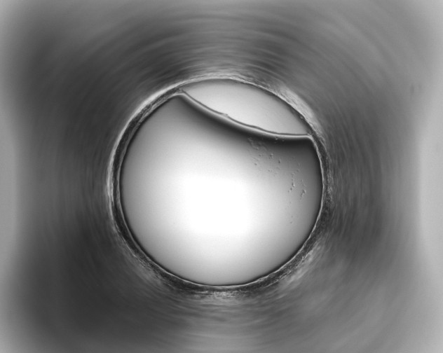 X0000093611028200710151012