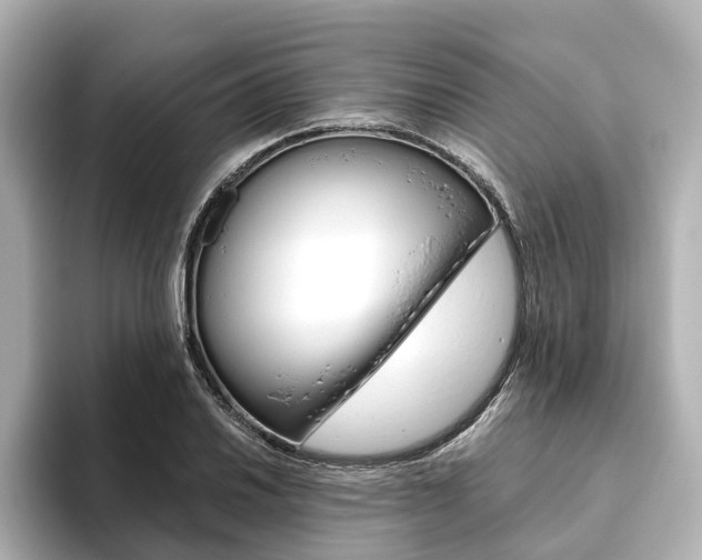 X0000093611030200710151012