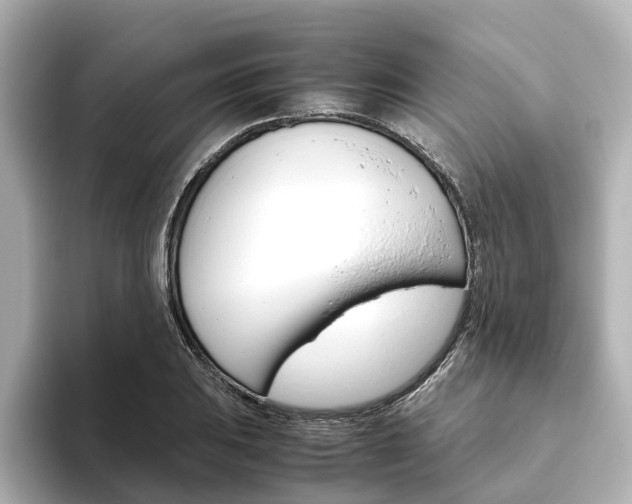 X0000093611031200710151012