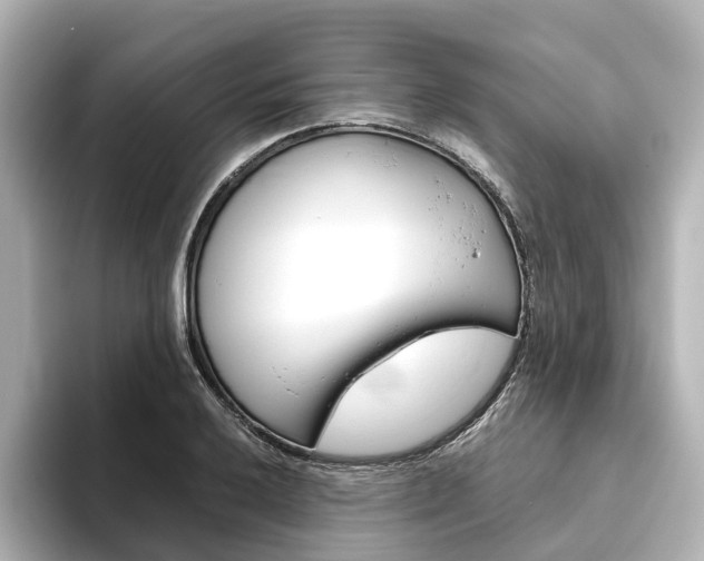 X0000093611032200710151012