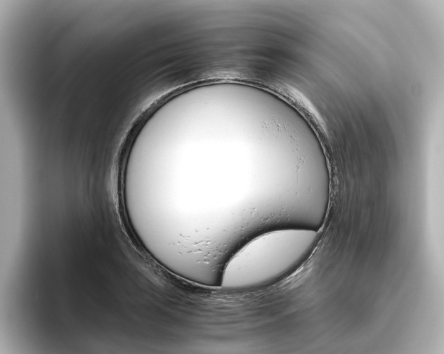X0000093611035200710151012