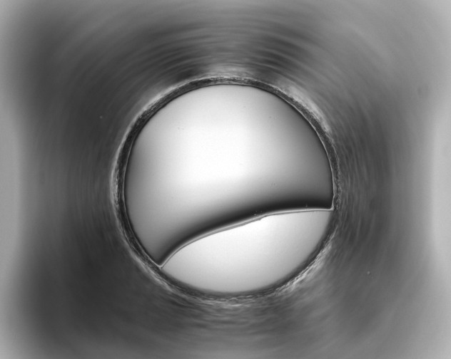 X0000093611037200710151012