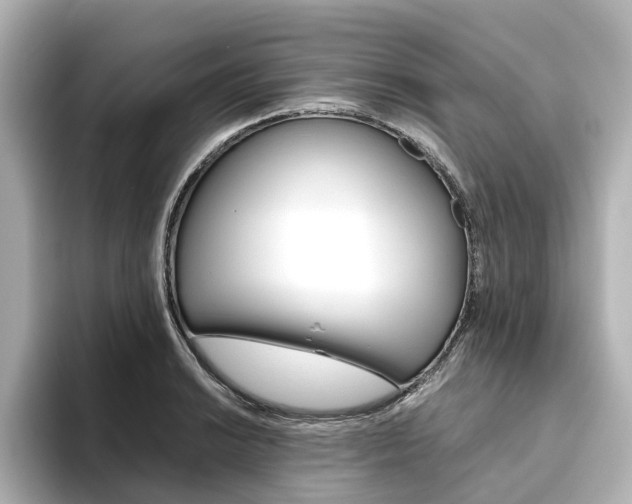 X0000093611038200710151012