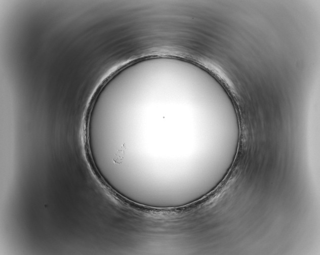 X0000093611040200710151012