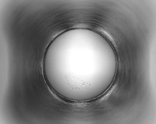 X0000093611041200710151012