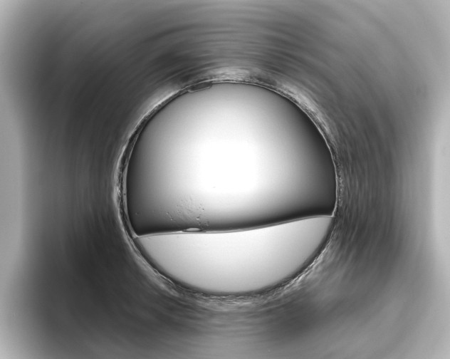 X0000093611042200710151012