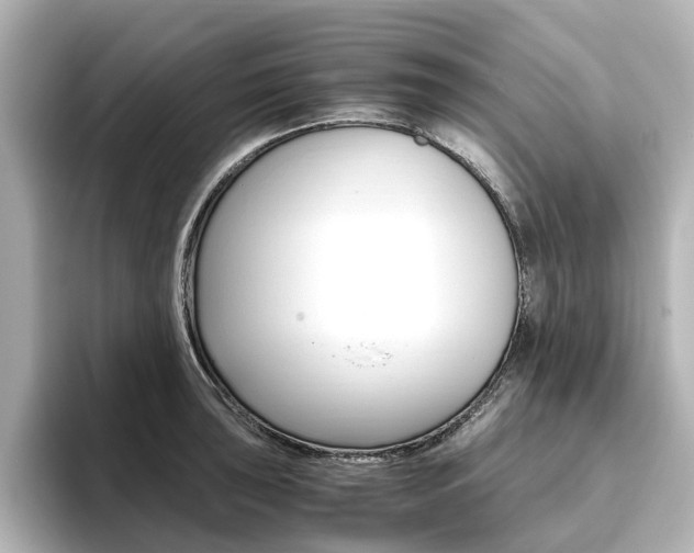 X0000093611043200710151012