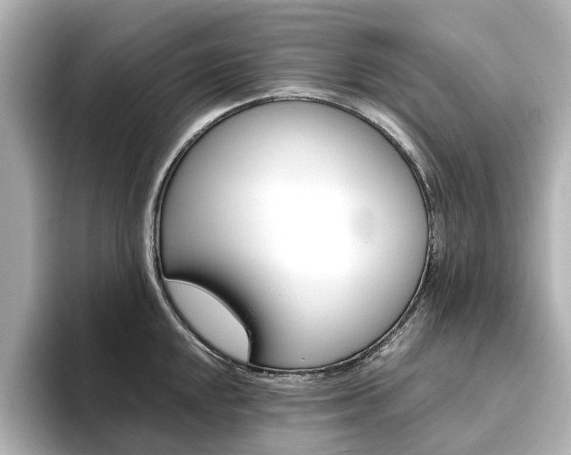 X0000093611048200710151012