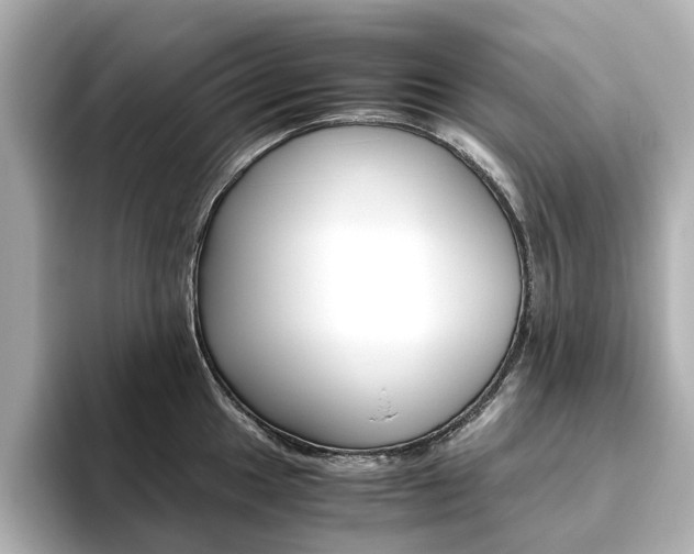 X0000093611049200710151012