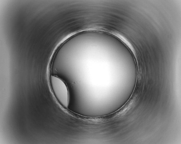 X0000093611053200710151012