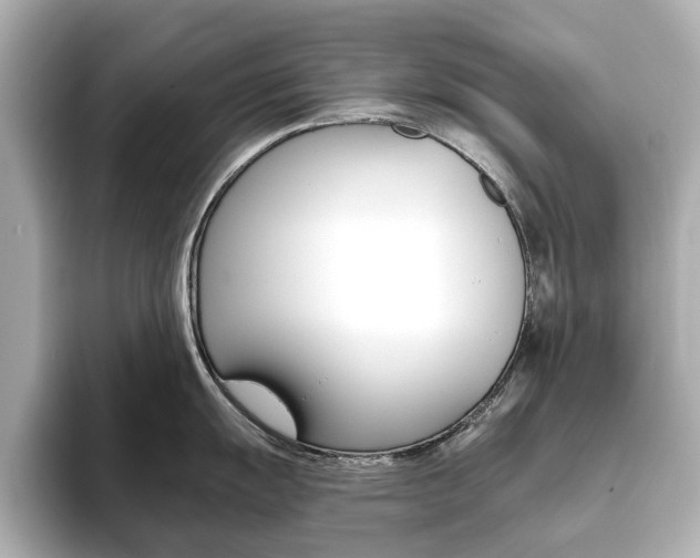X0000093611055200710151012