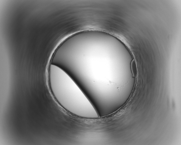 X0000093611056200710151012