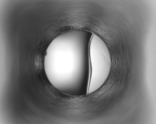 X0000093611058200710151012