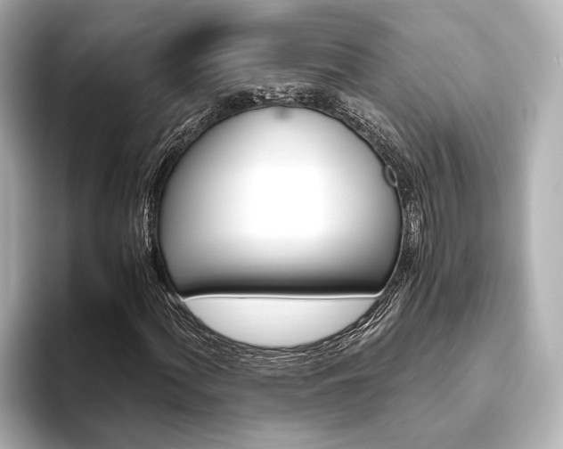 X0000093611060200710151012