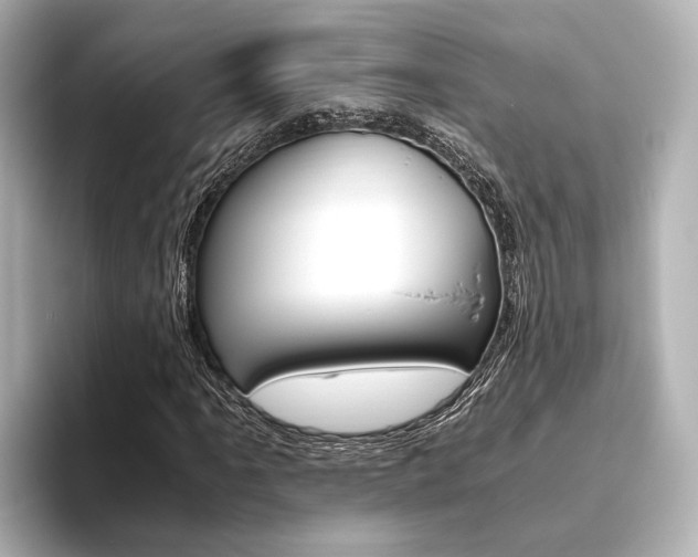 X0000093611061200710151012