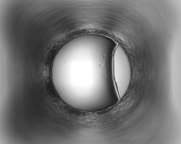 X0000093611062200710151012