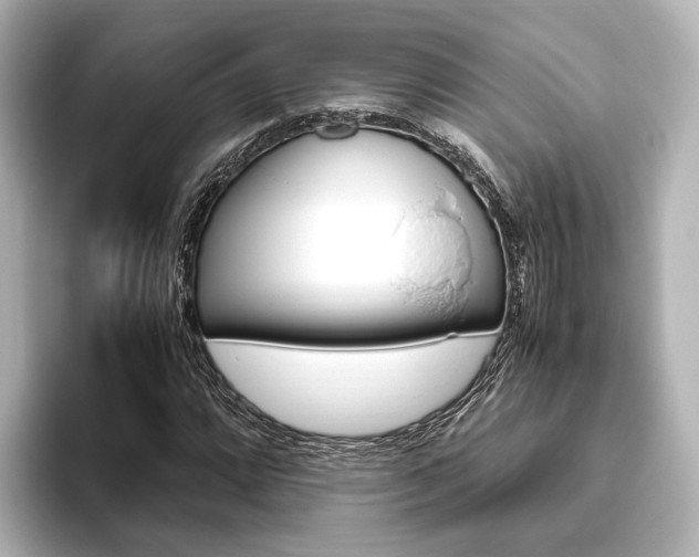 X0000093611064200710151012