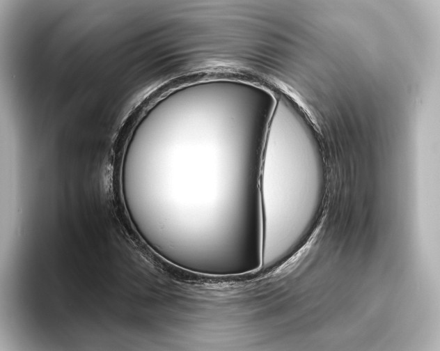 X0000093611066200710151012