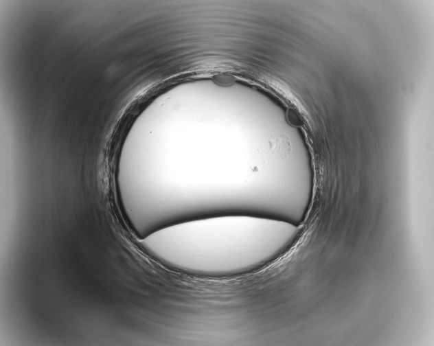 X0000093611067200710151012