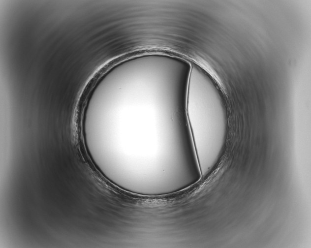 X0000093611068200710151012