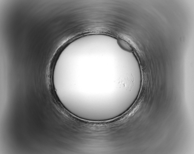 X0000093611071200710151012