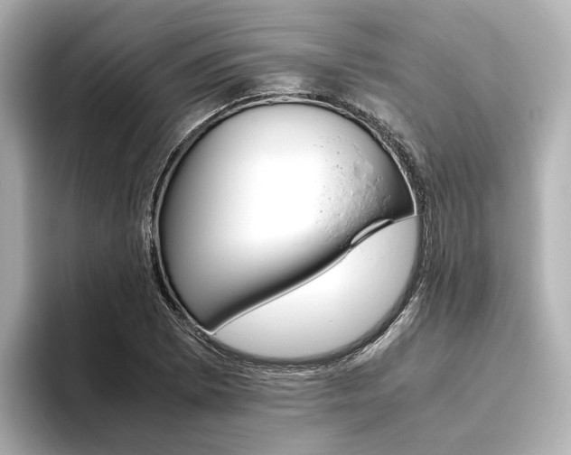 X0000093611073200710151012
