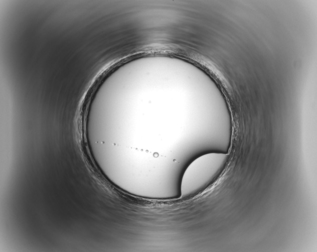 X0000093611075200710151012